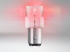 P21/5W Ledlampen Osram LEDriving® SL Rood - BAY15d